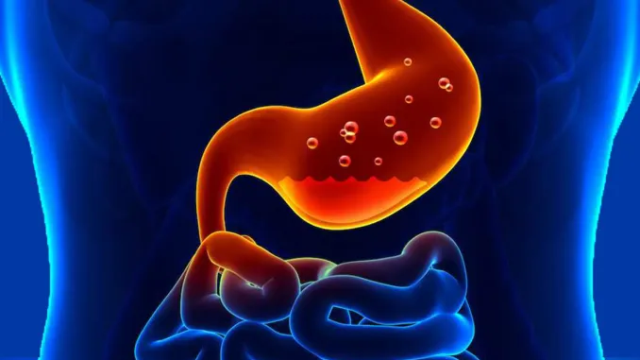 6 Penyakit Lambung dan Cara Penanganannya yang Harus Kamu Ketahui