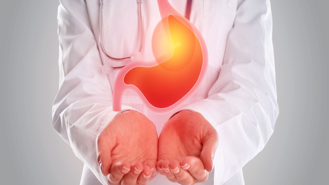 Cara Menjaga Kesehatan Lambung Yang Baik Dan Benar Sebelum Terlambat